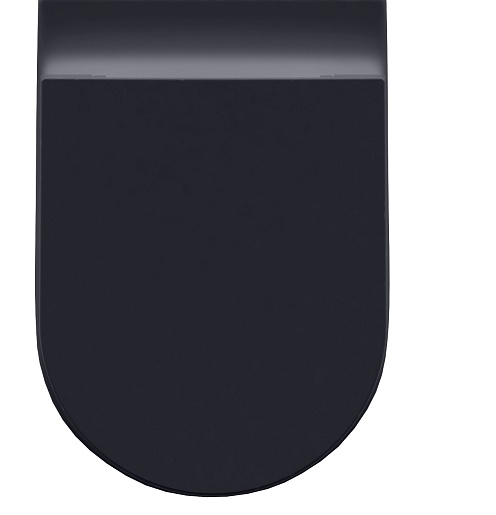 Allen Brau Унитаз напольный Fantasy 4.32004.AN антрацит – фотография-2