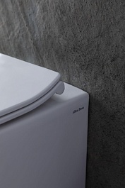 Allen Brau Унитаз приставной Fantasy 4.11007.20 белый глянец – фотография-27