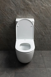 Allen Brau Унитаз напольный Priority Tornado 4.31006.20 белый глянец – фотография-8