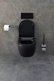 Allen Brau Чаша подвесного унитаза Priority 4.31001.31 чёрный матовый – фотография-18