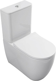 Allen Brau Унитаз напольный Priority 4.31003.20 белый – фотография-13