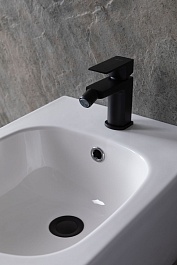 Allen Brau Смеситель для биде Infinity 5.21004-31 (с донным клапаном) черный матовый – фотография-4