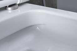 Allen Brau Унитаз с инсталляцией Priority 4.31002.20/8.9466.0.000.000.1 белый глянец – фотография-8