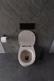 Allen Brau Чаша подвесного унитаза Fantasy 4.11004.IV айвори – фотография-7