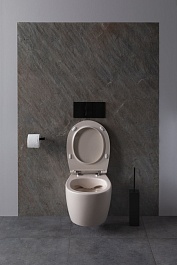 Allen Brau Чаша подвесного унитаза Fantasy 4.11004.IV айвори – фотография-3