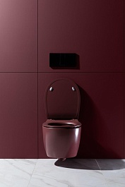 Allen Brau Унитаз подвесной Fantasy 4.11004.BD бордо с крышкой 4.11005.BD – фотография-24