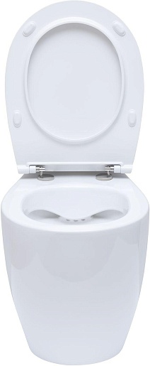 Allen Brau Чаша приставного унитаза Fantasy 4.11007.20 белый глянец – фотография-12