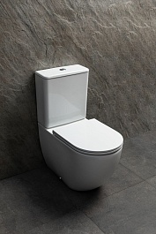 Allen Brau Чаша напольного унитаза Priority Tornado 4.31006.20 белый глянец – фотография-6