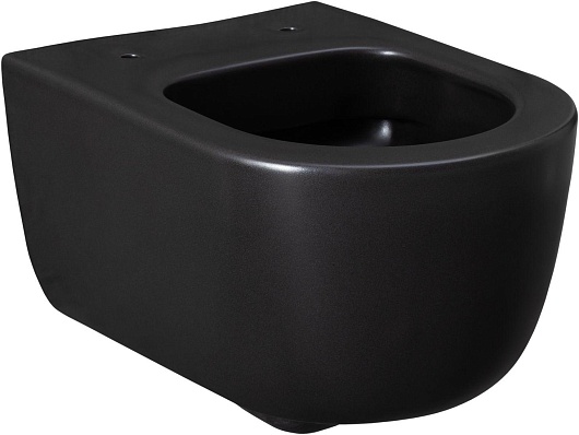 Allen Brau Чаша подвесного унитаза Priority 4.31002.31 чёрный матовый – фотография-12
