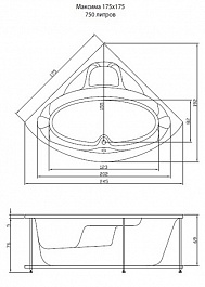 Aquatika Акриловая ванна Аквалюкс Максима Standart – фотография-2