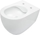 Allen Brau Унитаз подвесной Reality 4.32006.20 белый глянец с крышкой 4.32007.20 – картинка-26