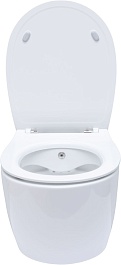 Allen Brau Унитаз подвесной Fantasy 4.11HC1.20 белый глянец с крышкой 4.11005.20 – фотография-21