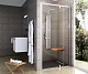 Ravak Душевая дверь в нишу PDOP2-100 Transparent, профиль блестящий – фотография-8