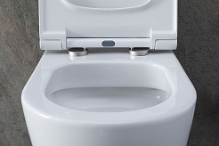 Allen Brau Унитаз с инсталляцией Priority 00301296/8.9466.0.000.000.1 белый глянец – фотография-6