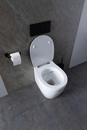 Allen Brau Чаша приставного унитаза Fantasy 4.11007.20 белый глянец – фотография-24