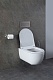 Allen Brau Унитаз с инсталляцией Priority 4.31002.20/8.9466.0.000.000.1 белый глянец – картинка-52