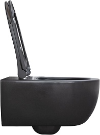 Allen Brau Унитаз подвесной Priority 4.31001.AN антрацит с крышкой 4.31004.AN – фотография-8