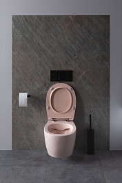 Allen Brau Чаша подвесного унитаза Fantasy 4.11004.SM розовый – фотография-3