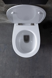 Allen Brau Чаша приставного унитаза Fantasy 4.11007.20 белый глянец – фотография-31