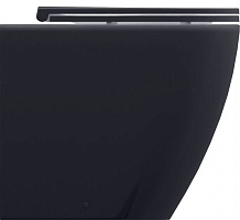 Allen Brau Чаша приставного унитаза Fantasy 4.32004.AN антрацит