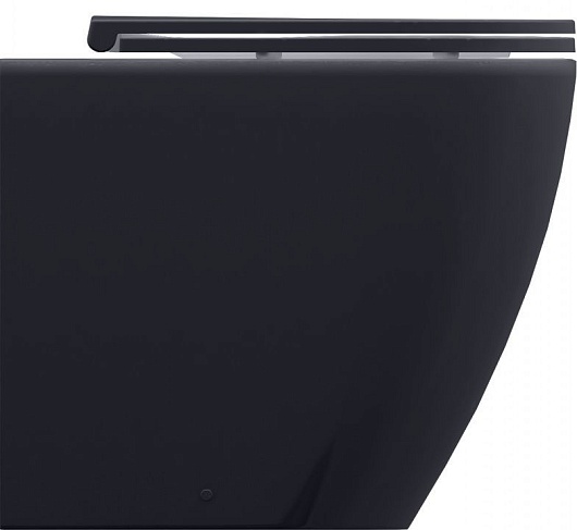 Allen Brau Чаша приставного унитаза Fantasy 4.32004.AN антрацит – фото-1