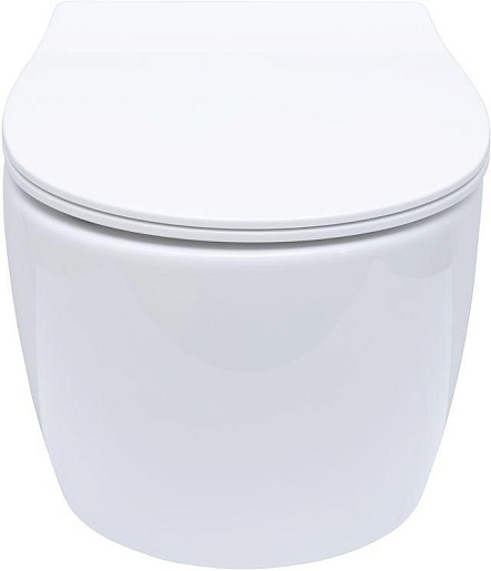 Allen Brau Чаша подвесного унитаза Fantasy 4.11004.20 белый глянец – фотография-6