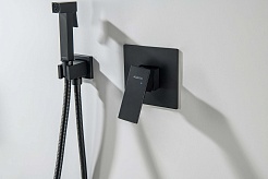 Aquatek Смеситель для душа и ванны Лира AQ1466MB матовый черный – фотография-3