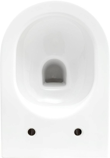 Allen Brau Унитаз подвесной Reality 4.32006.20 белый глянец с крышкой 4.32007.20 – картинка-9