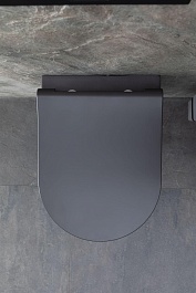 Allen Brau Унитаз подвесной Priority 4.31002.AN антрацит с крышкой 4.31004.AN – фотография-18