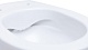 Allen Brau Чаша приставного унитаза Fantasy 4.11007.20 белый глянец – картинка-54