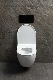 Allen Brau Чаша подвесного унитаза Priority 4.31009.20 белый глянец – фотография-8