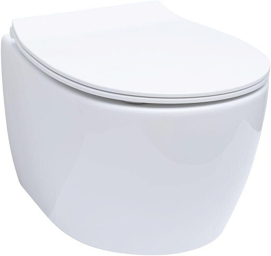 Allen Brau Чаша подвесного унитаза Fantasy 4.11004.20 белый глянец – картинка-3