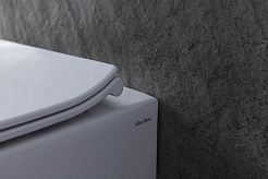 Allen Brau Чаша приставного унитаза Fantasy 4.11007.20 белый глянец – фотография-26