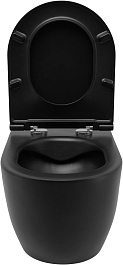 Allen Brau Унитаз напольный Fantasy 4.32004.31 чёрный матовый – фотография-4