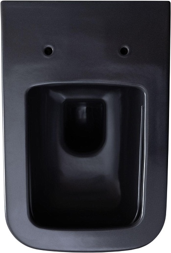 Allen Brau Чаша подвесного унитаза Infinity 4.21011.AN антрацит – фотография-14