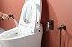 Lemark Гигиенический душ Bronx LM3719GM со встраиваемым смесителем графит – картинка-10
