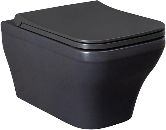 Allen Brau Унитаз подвесной Infinity 4.21011.AN антрацит с крышкой 4.21014.AN – фотография-10