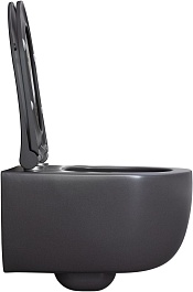 Allen Brau Унитаз подвесной Priority 4.31002.AN антрацит с крышкой 4.31004.AN – фотография-8