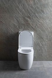 Allen Brau Чаша напольного унитаза Priority 4.31003.20 белый – фотография-16