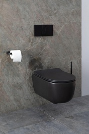 Allen Brau Чаша подвесного унитаза Priority 4.31002.31 чёрный матовый – фотография-18