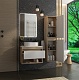 Teymi Тумба с раковиной Ritta 65 дуб эврика/белый матовый T60520 раковина T50606 – картинка-15