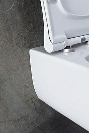 Allen Brau Унитаз с инсталляцией Priority 4.31002.20/8.9466.0.000.000.1 белый глянец – фотография-11