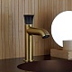 Paini Смеситель для раковины Domus 18PJ205PZ брашированные золото/чёрный – фотография-9
