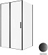 Allen Brau Душевой уголок Priority 120x100 3.31033.BBA/3.31048.BBA чёрный браш – картинка-12