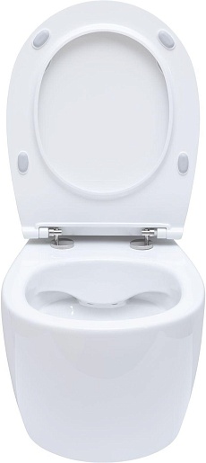 Allen Brau Чаша подвесного унитаза Fantasy 4.11004.20 белый глянец – картинка-7