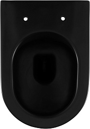Allen Brau Чаша приставного унитаза Fantasy 4.32004.31 чёрный матовый – фотография-9
