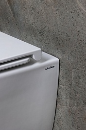 Allen Brau Унитаз подвесной Liberty 4.33011.20 белый с крышкой 4.33015.20 – фотография-3