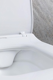 Allen Brau Унитаз подвесной Liberty 4.33007.21 белый матовый с крышкой 4.33008.21 – фотография-14