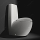 Laufen Унитаз-компакт Alessi One 2297.6.400.000.1 – картинка-8