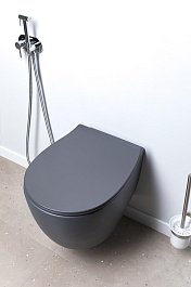 Allen Brau Чаша подвесного унитаза Fantasy 4.11004.AN антрацит – фотография-16